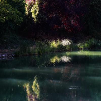 Feu d'artifice sur le lac de la Risse - A.JEANNIN