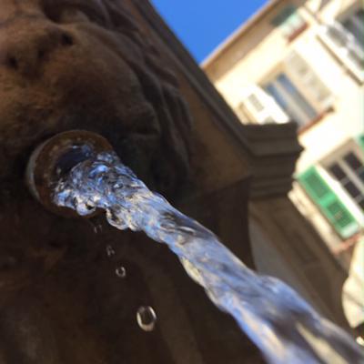 Quand le lion rugit- L.BERTOLINI