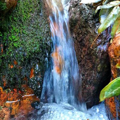 Source de vie- S.BURGAUD