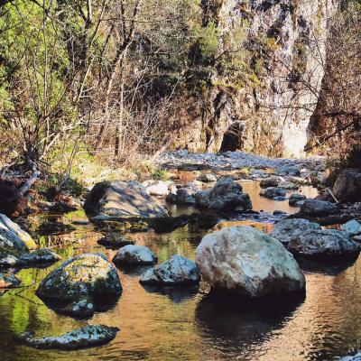 Tapis d'eau- S.BURGAUD